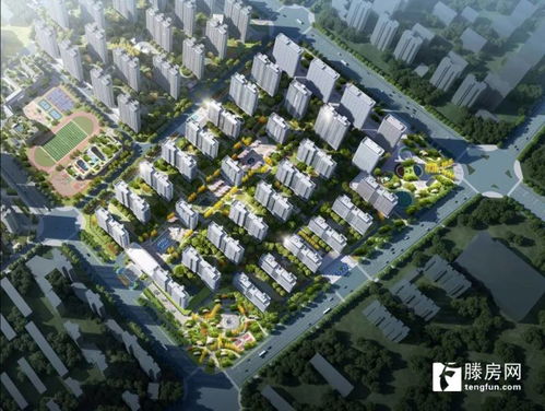 如何實現房地產高質量發展 滕州城建集團在梁場這個項目給出了答案